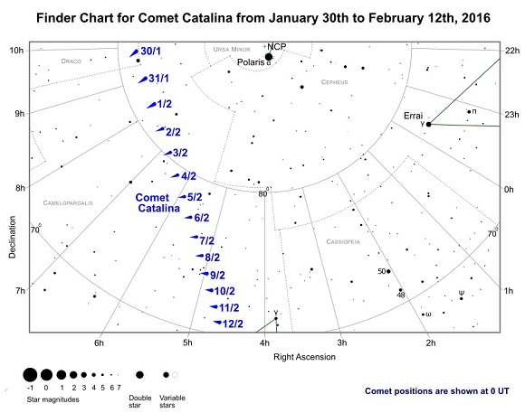 Comet Catalina (C/2013 US10) Finder Chart from January 30th to February 12th, 2016 (credit:- freestarcharts)