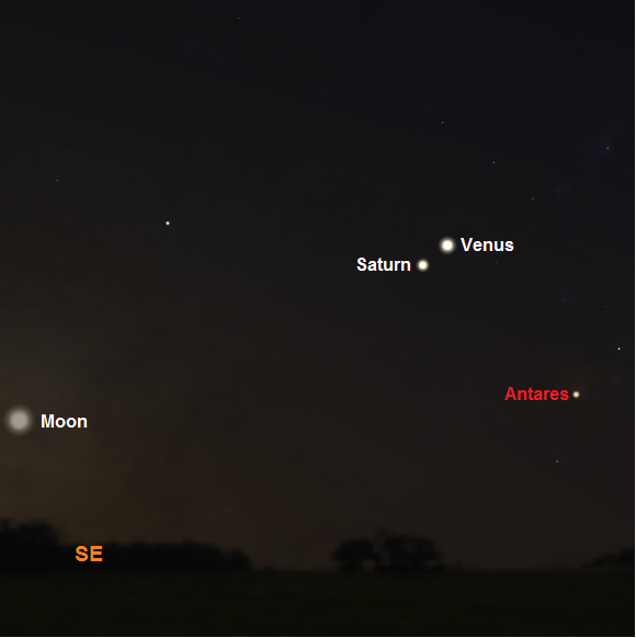 View towards the southeastern horizon one hour before sunrise on January 8th from mid Northern latitudes (credit:- Stellarium)