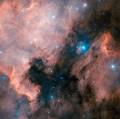 NGC 7000 - The North American Nebula (credit:- Digitized Sky Survey/D. De Martin)