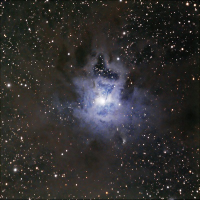 NGC 7023 - Reflection Nebula (credit:- Hunter Wilson)